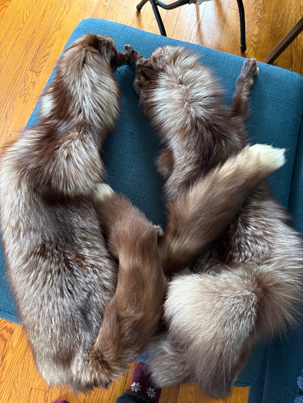 Vintage Real Fur Stoles - Rich Brown and Cream Tones